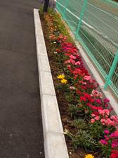 有料老人ホーム ロイヤル直川/ デイ・サービス ロイヤルなおかわ