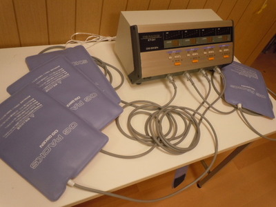 デイ・サービス ロイヤルなおかわ